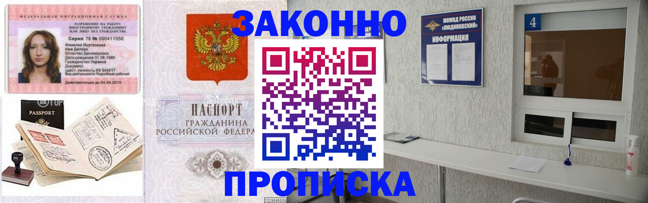 прописка в квартире в Лосино-Петровском